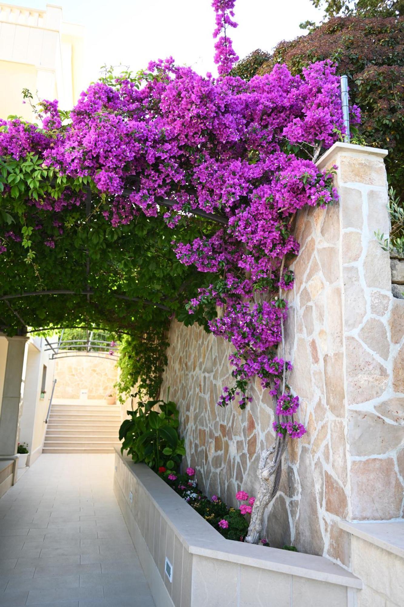 Hvar Villa Malisko Apartments Hvar Town Exterior foto
